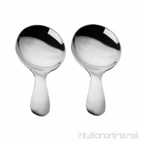 Homyl 2pcs Mini Stainless Steel Spoons Small Salt Spoons  Sugar Condiments Spoons - B078X9LQZN